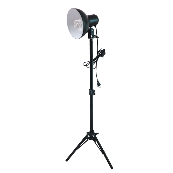 Light Stand 100cm with Lamp Holders (ไม่รวมหลอดไฟ)